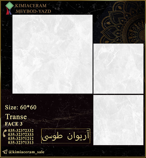 آریوان طوسی