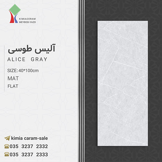 آلیس طوسی
