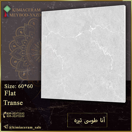 آنا طوسی تیره