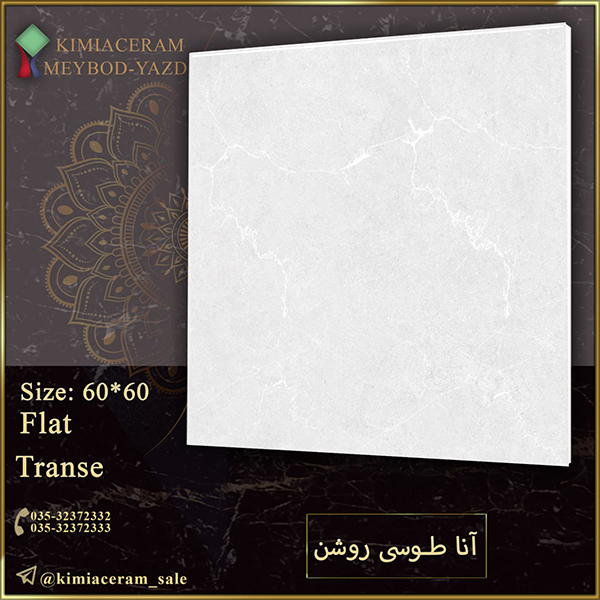آنا طوسی روشن