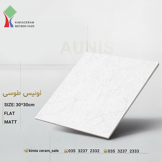 اونیس طوسیa