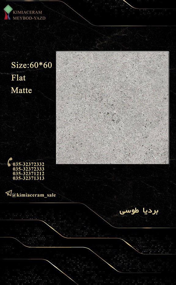 بردیا طوسی