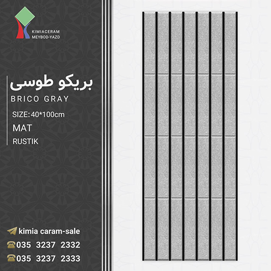 بریک طوسی (1)