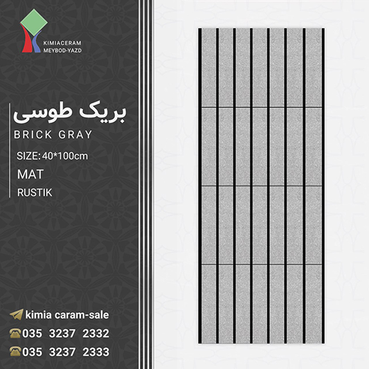 بریک طوسی