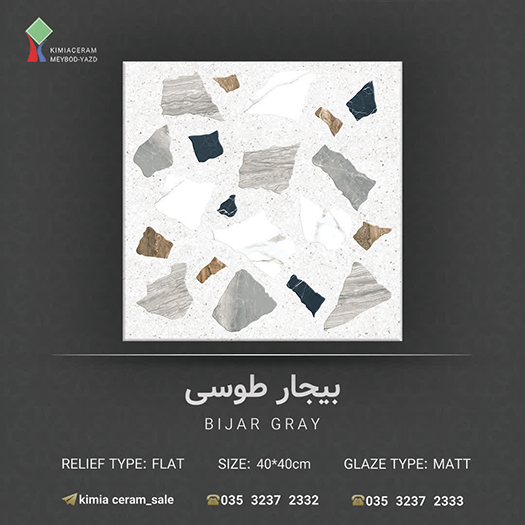 بیجار طوسیa