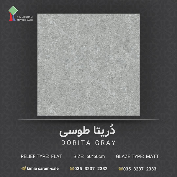 دریتا طوسی (1)