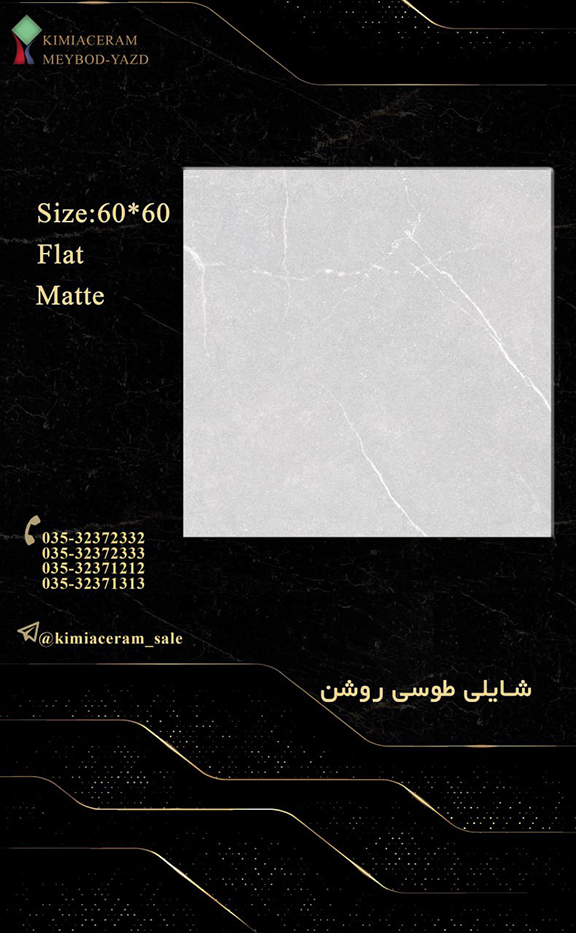 شایلی طوسی روشن