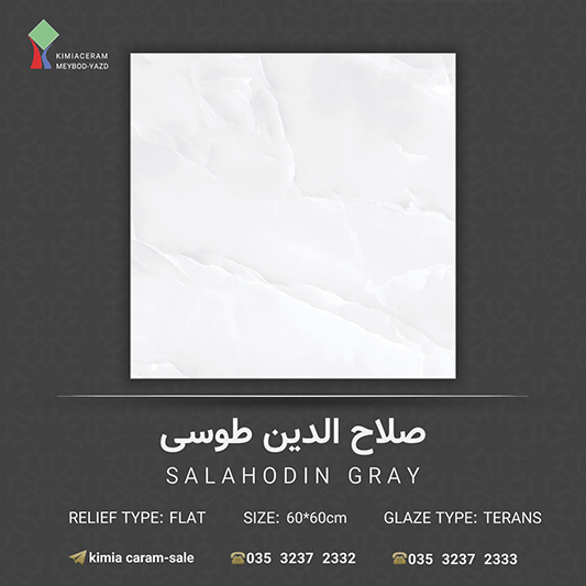 صلاح الدین طوسی