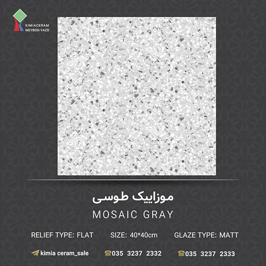 موزاییک طوسیa