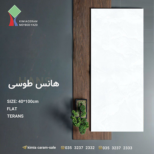 هانس طوسی