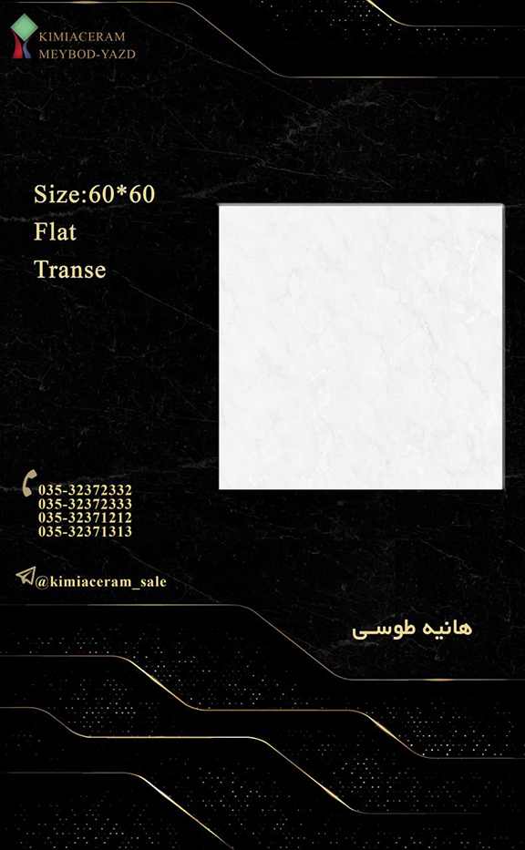 هانیه طوسی