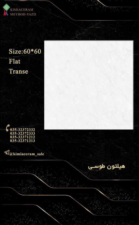 هیلتون طوسی