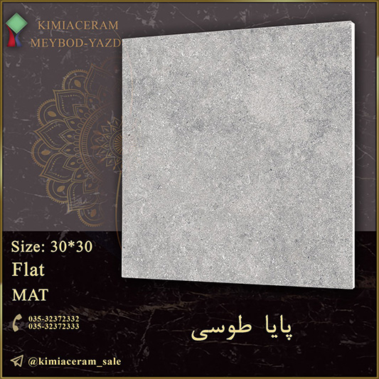 پابا-طوسی سایت