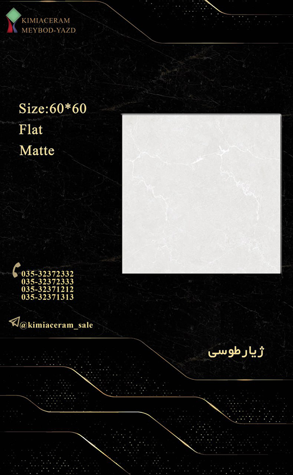 ژیار طوسی